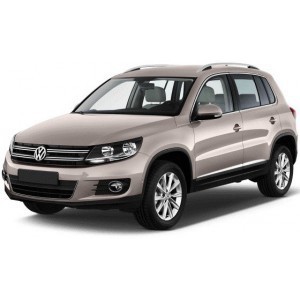 TIGUAN 2013