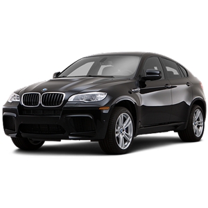 X6 (2009-2014)