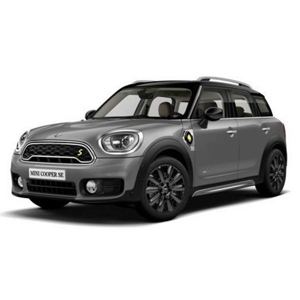 COUNTRYMAN R60